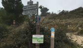 Tocht Stappen Cantaron - Bordinas Ruines de Chateauneuf  - Photo 2