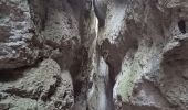 Trail Walking Cheval-Blanc - Gorges du Regalon version longue ( hautes pleines ) - Photo 12