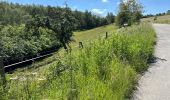 Randonnée Marche Theux - Polleur Fagnes de Malchamps 31,7 km - Photo 17