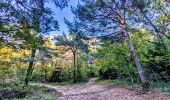 Trail Walking Plan-d'Aups-Sainte-Baume - boucle sentier merveilleux 13 km - Photo 2