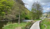 Excursión Senderismo Tandel - Promenade Bettel - Vianden - Photo 3