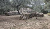 Tocht Stappen Bernis - Bernis capitelles-4-chemins - Photo 2