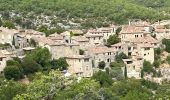 Trail Horseback riding Céreste - Provence 2025 J3 - Photo 8