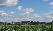 Trail Walking Meix-devant-Virton - rando gerouville 6-07-2023 - Photo 6