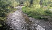 Tocht Stappen Vresse-sur-Semois - Rando au départ de Bohan  - Photo 9