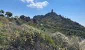 Trail Walking Fréjus - Le Vinaigre depuis le pont de la Bécasse  - Photo 6