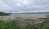 Tour Wandern Saint-Cast-le-Guildo - ballade plage de la Fosse et Moulin à marée  - Photo 11