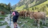 Tour Wandern Cauterets - Raillière-lac Estom - Photo 9