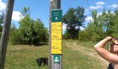 Trail Walking Presles - Fontaine de Pétouze- Grotte des boeufs - Photo 11