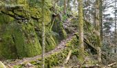 Trail Walking Sapois - circuit roche des ducs - Photo 7