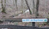 Trail Walking Wellin - Fays en Famenne 150123 - Photo 9