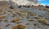 Tocht Stappen Allos - Lac d'Allos petite cayolle - Photo 2