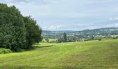 Tour Reiten Vielsalm - Mont-le-Soie Boucle orange - Photo 5