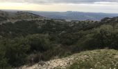 Excursión Carrera Cheval-Blanc - Luberon-19122019 - Photo 3