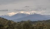 Tour Wandern Maureillas-las-Illas - dolmen de la Siureda via tour Bel Ull - Photo 20