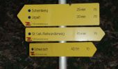 Excursión A pie Goldegg - Goldegg-Schwarzach über Schernberg - Photo 4