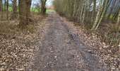 Trail Walking Gembloux - Sauveniere 050226 - Photo 18
