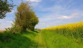 Trail Walking Sombreffe - Marche Adeps à Tongrinne - Sombreffe - Photo 3