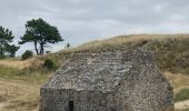 Tour Wandern Blainville-sur-Mer - Chemin de l’huître  - Photo 6