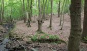 Trail Walking Seraing - Dans les bois de Seraing - Photo 4