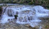 Trail  Les Planches-près-Arbois - Cascades des tuff - Photo 8