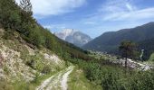 Trail On foot Auronzo di Cadore - IT-123 - Photo 1
