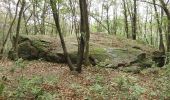 Trail On foot Mezzomerico - Sentiero Novara tappa 12 - Photo 3