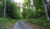 Randonnée Marche Pierrefonds - en forêt de Compiègne_30_la Tournante sous le Mont Saint-Mard - Photo 13