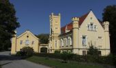 Excursión A pie Gemeinde Sulz im Weinviertel - Wanderung rund um die Nexinger Teiche - Photo 3