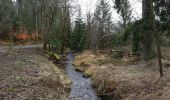 Tocht Te voet Harz (LK Goslar) - Naturmythenpfad - Photo 5