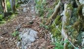 Trail Walking Fillière - 12-06-2022 Col de l'Enclave  - Photo 1