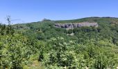 Randonnée Marche Labastide-sur-Bésorgues - la Bastide sur bezorgie - Photo 7