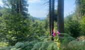 Tour Wandern Aumessas - Lac les Pisés départ Travers - Photo 4