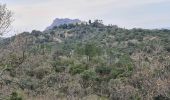 Excursión Senderismo Roquebrune-sur-Argens - Roquebrune - monastère de Notre Dame de pitié  - Photo 9