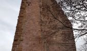 Tocht Stappen Eguisheim - Randonnée 5 châteaux - Eguisheim - château d'Hagueneck - château de Hohlandsbourg - trois châteaux d'Husseren - Photo 5