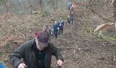 Trail Walking Fontainebleau - cabaret masson 10 février 2023  - Photo 7