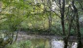 Randonnée Marche Entrelacs - Tour d’albens - Photo 3