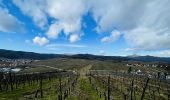 Trail Walking Zellenberg - Le village de Zellenberg en France - Photo 1