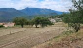 Trail Walking Val-d'Aigoual - Bonperrier - col de l'Homme Mort - Photo 3