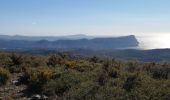 Tocht Stappen Marseille - mont carpiagne - Photo 10