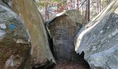 Trail Walking Fontainebleau - Sentier Denecourt 8 8-8 - Photo 12