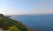 Excursión Senderismo Leucate - la franqui . phare de leucate .. retour via la falaise - Photo 4