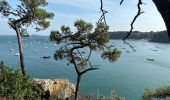 Tour Wandern Cancale - Boucle pointe du Grouin Cancale - Photo 3