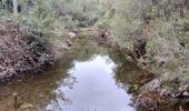 Excursión Senderismo Corbère-les-Cabanes - cerbère chapelle sa t père del bosc - Photo 2