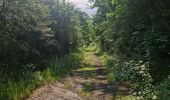 Tour Wandern Somme-Leuze - baillonville à la saison du chèvrefeuille  - Photo 8