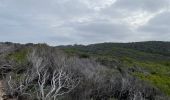 Tocht Stappen Hyères - Porquerolles - Photo 16