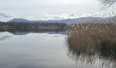 Tour Wandern Le Cannet-des-Maures - lac des escarcets - Photo 10