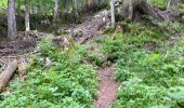 Trail Walking Saint-Pierre-de-Chartreuse - Les Cottaves le Charmant Som 11km - Photo 2