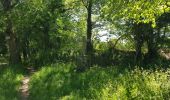 Trail Walking Brech - PR_56_Brech_AA_01_St-Degan_Circuit1b_20200518 - Photo 5