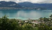 Trail Walking Annecy - SEMNOZ boucle depuis visitation - Photo 5